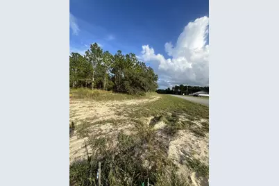 9169 N Deltona Boulevard, Citrus Springs, FL 34434 - Photo 1