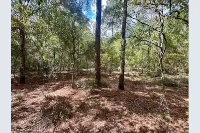 Nw 13th Terrace, Bell, FL 32619 - Photo 1