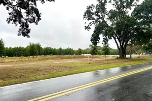 Us-129, Bell, FL 32619 - Photo 1