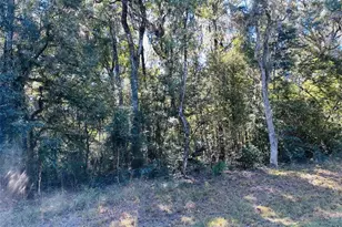 0 NW 86 St, Chiefland, FL 32626 - Photo 1