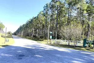 Lot 47 NW 73rd St, Chiefland, FL 32626 - Photo 1