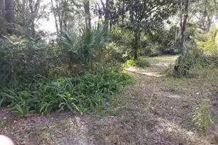 3 NE 5th St, Chiefland, FL 32626 - Photo 1