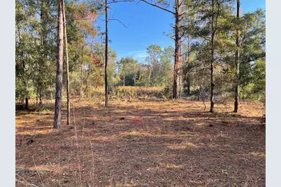 9650 NE 80th Street, Bronson, FL 32621 - Photo 1