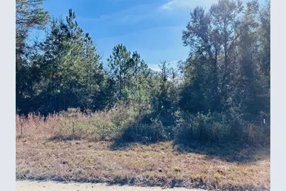 0 NW 126 Street, Chiefland, FL 32626 - Photo 1