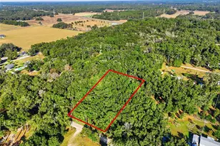 000 NE 40th St, Williston, FL 32696 - Photo 1