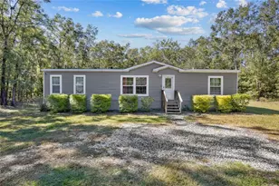272 SW Old Niblack Ave, Fort White, FL 32038 - Photo 1