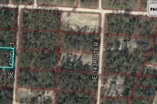 Xxx SE 142nd Ct, Morriston, FL 32668 - Photo 1