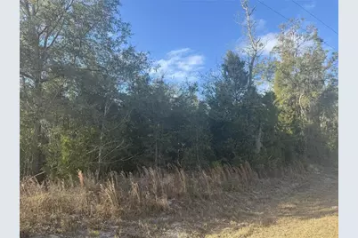 1222 SW Old Wire Road, Lake City, FL 32024 - Photo 1