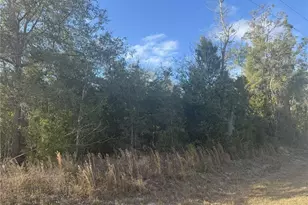 1222 SW Old Wire Rd, Lake City, FL 32024 - Photo 1