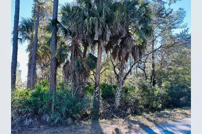 0 SW 60th Street, Cedar Key, FL 32625 - Photo 1