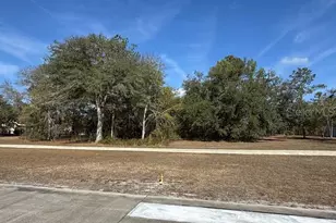 Lot 7 SW 39th Dr, Lake Butler, FL 32054 - Photo 1