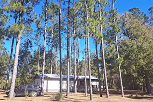 669 SW Shiloh St, Fort White, FL 32038 - Photo 1