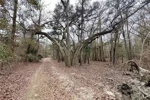 7875 SW Co Rd 344, Bell, FL 32619 - Photo 1