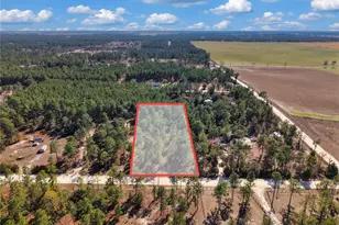 Tbd 00 SE 6th Ln, Williston, FL 32696 - Photo 1