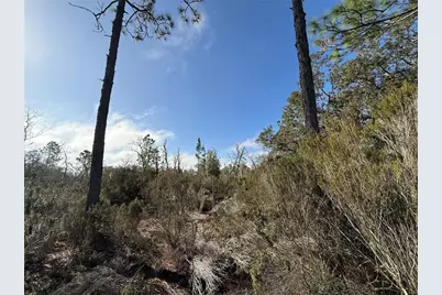 Ne 56 Street, Bronson, FL 32621 - Photo 1