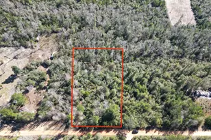 McKinney Ln, Alford, FL 32420 - Photo 1