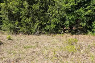 SE Cr 337, Trenton, FL 32693 - Photo 1