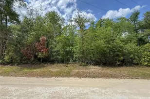 Tbd 282nd Terrace, Branford, FL 32008 - Photo 1