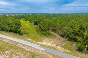 Tbd E Levy St Lot 2, Williston, FL 32696 - Photo 1