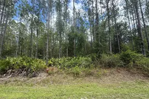 SW 89th St, Lake Butler, FL 32054 - Photo 1