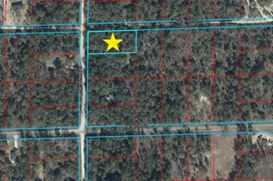 Lot 465 NE 95th Ave, Bronson, FL 32621 - Photo 1
