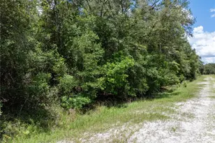 Lot 53 SW Roanoke Terrace, Fort White, FL 32038 - Photo 1