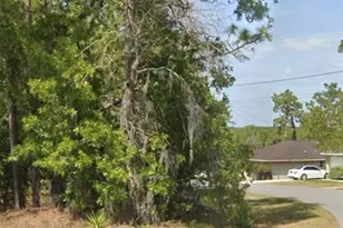 Tbd Pecan Pass Dr, Ocala, FL 34471 - Photo 1