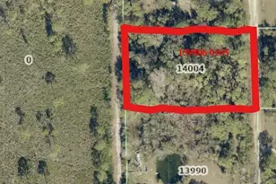 14004 Bradham Rd, Jacksonville, FL 32226 - Photo 1