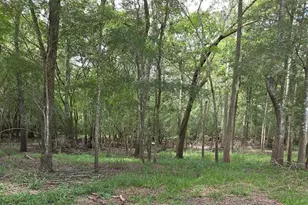 Unassigned, Old Town, FL 32680 - Photo 1