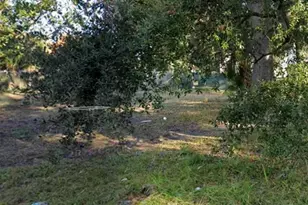 805 Colyer St, Orlando, FL 32805 - Photo 1
