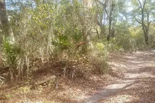 5812 Bryce St, Keystone Heights, FL 32656 - Photo 1