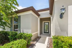 10320 Wine Press Ave, Riverview, FL 33578 - Photo 1