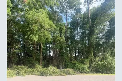 Tbd NW 47th Place, Ocala, FL 34482 - Photo 1