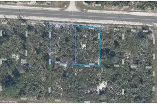 3546 & 3544 Paso Fino Dr, Lake Placid, FL 33852 - Photo 1