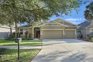 15604 Starling Water Dr, Lithia, FL 33547 - Photo 1