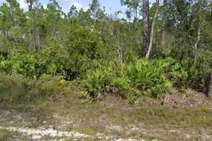 12067 Platano Dr, Punta Gorda, FL 33955 - Photo 1