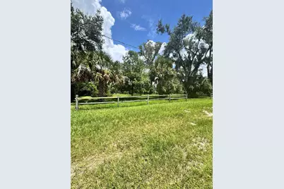 12038 Curley Street, San Antonio, FL 33576 - Photo 1
