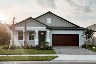 10343 Minnow Ray Dr, Land O Lakes, FL 34638 - Photo 1