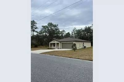 11196 Wood Owl Avenue, Brooksville, FL 34614 - Photo 1