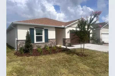 6305 Scarlet Amethyst Street, Land O Lakes, FL 34638 - Photo 1