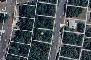 8174 N Triana Dr, Citrus Springs, FL 34434 - Photo 1