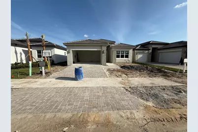 32560 Neroli Street, Wesley Chapel, FL 33543 - Photo 1