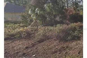 2 Rykill Way, Palm Coast, FL 32164 - Photo 1