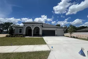 705 Nicewinter Dr, Spring Hill, FL 34609 - Photo 1
