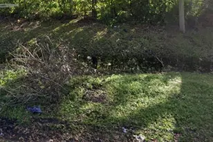 4914 College Dr, Orlando, FL 32811 - Photo 1