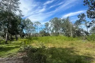 6200 SW 358 Hwy, Cross City, FL 32628 - Photo 1