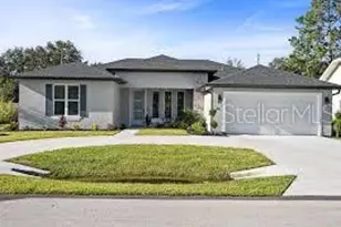 3 White Hawk Pl, Palm Coast, FL 32164 - Photo 1