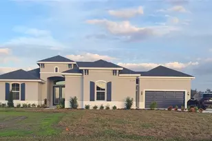 5028 Lake Toscana Dr, Wimauma, FL 33598 - Photo 1