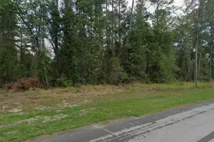 9879 Athenia N, Dunnellon, FL 34434 - Photo 1