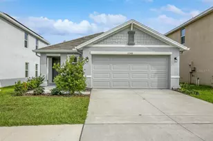12148 Water Ash Pl, Riverview, FL 33569 - Photo 1